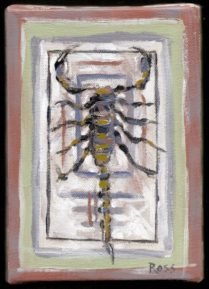 03_Scorpicon 5 X 7.jpg, 234 kB