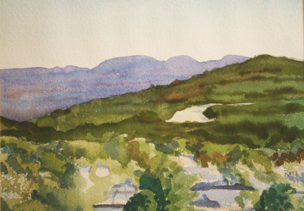 Backbone Zoom 8 X 11.jpg, 199 kB