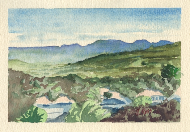 Backbone_Jenny 9 X 7.jpg, 221 kB