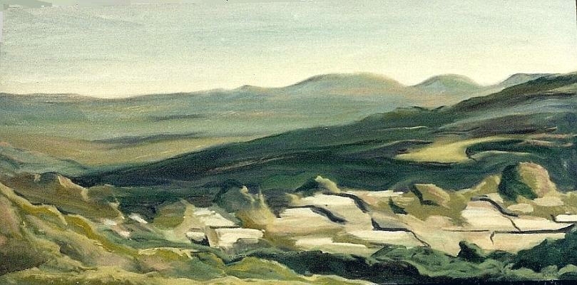 Loosely Devil's Backbone 24 X 16.jpg, 183 kB