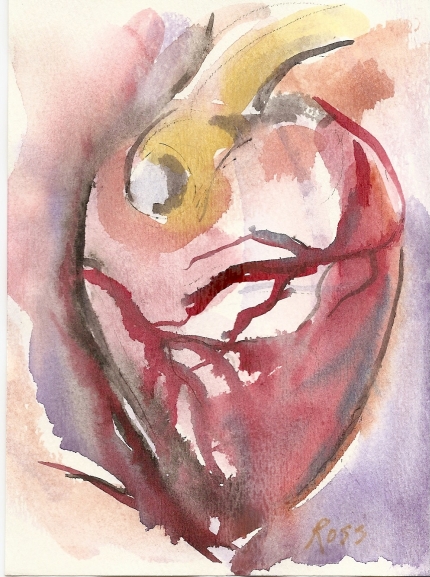 Corazon 5 X 7.jpg, 211 kB