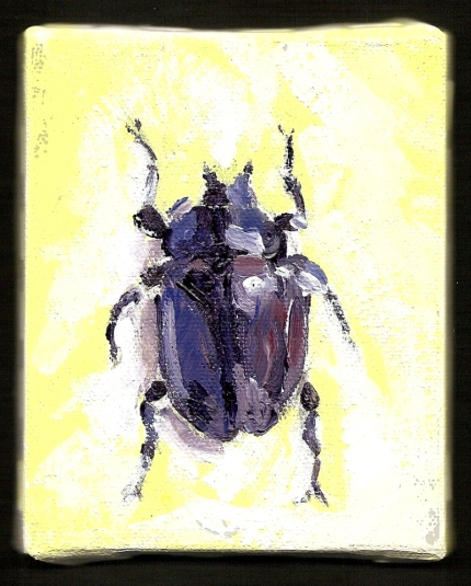Scarab 4 X 5.jpg, 185 kB